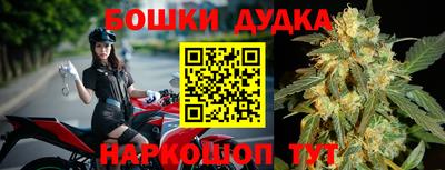 стафф Ставрополь