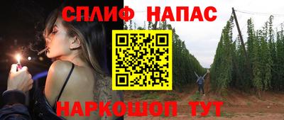 стафф Ставрополь